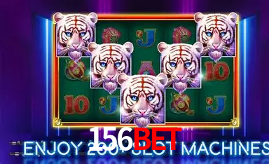 Seasonal Promotions 156Bet